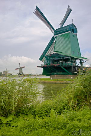 Dutch Countryside.